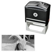 ビルさん セルフインキングスタンプ (インサイチュ)