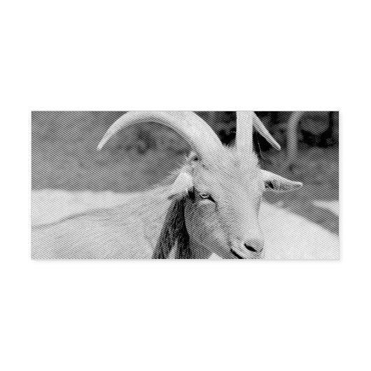 ビルさん セルフインキングスタンプ (デザイン)