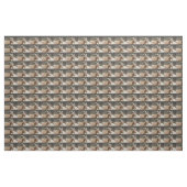 ビルさん ファブリック (ヤード)