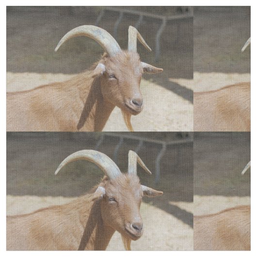 ビルさん ファブリック (クローズアップ)