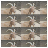 ビルさん ファブリック (見本)