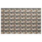 ビルさん ファブリック (ファットクウォーター)