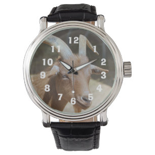 ビルさん 腕時計