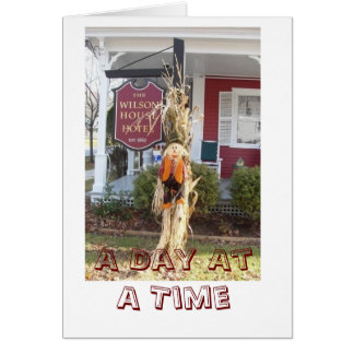 ビルウイルソンVT