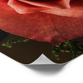 ビルカト・コハニム – ヘブライ語賛美Pの聖職者 ポスター (角)