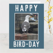 ビルドウォッチャーまたは野鳥観察愛好家誕生日 カード (黄色い花)