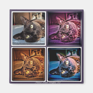 ビルマのキュベッド マグネット