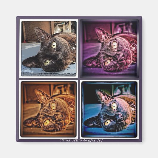 ビルマのキュベッド マグネット (正面)