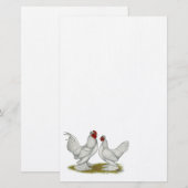 ビルマのバンタム 便箋 (正面/裏面)