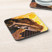 ビルマのパイソン・スネーク コースター (左側)