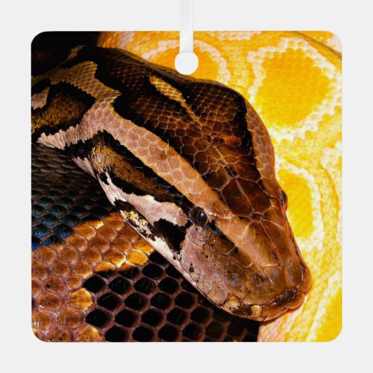 ビルマのパイソン・スネーク メタルオーナメント (正面)