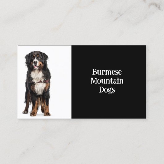ビルマのマウンテンドッグズブリーダーPETシッター 名刺 (裏面)