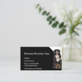 ビルマのマウンテンドッグズブリーダーPETシッター 名刺 (スタンド正面)