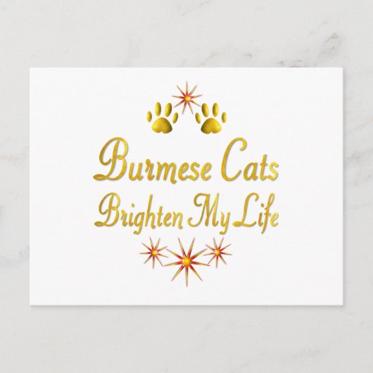 ビルマの猫が私の人生を明るくする ポストカード (正面)