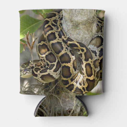 ビルマのPython 缶クーラー (正面)