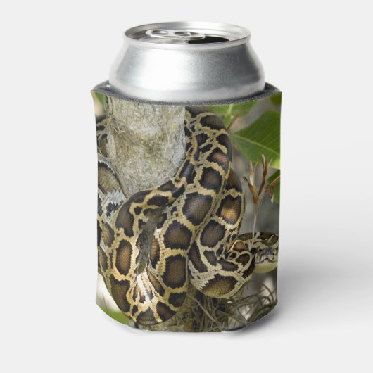 ビルマのPython 缶クーラー (缶裏面)