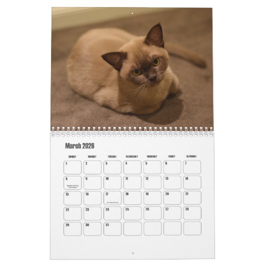 ビルマ暦 カレンダー (3月 2026)