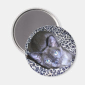 ビルマ磁石 マグネット (正面/裏面)