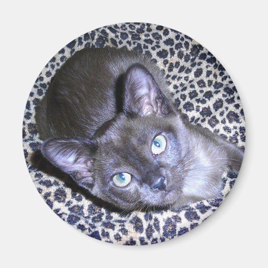 ビルマ磁石 マグネット (正面)