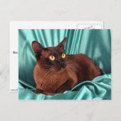 ビルマ語、茶色 ポストカード (正面/裏面)