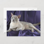 ビルマ語、薄紫 ポストカード (正面/裏面)