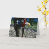 ビル大野の氏 カード (黄色い花)