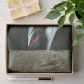 ビル・クリントン大統領写真 薄葉紙 (ギフト)