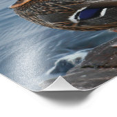 ビル・ダック フォトプリント            (角)