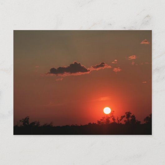 ビロクシー・サンセット ポストカード (正面)