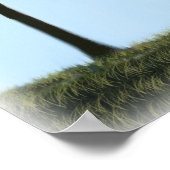 ビロシーライトハウス ポスター (角)