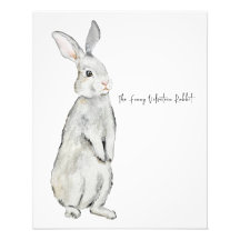 ビロードおもしろいウサギ