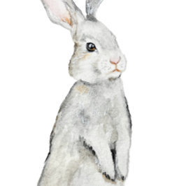 ビロードおもしろいウサギ ポスター