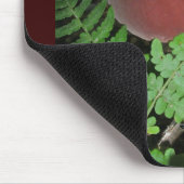 ビロードのきのこのマウスパッド マウスパッド (コーナー)