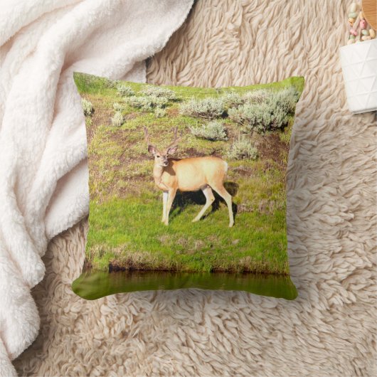 ビロードの写真の素晴らしい木びき台のシカ クッション (ブランケット)