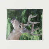 ビロードの白い尾シカ タペストリー (正面(横))