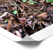 ビロードの緑の苔 ポスター (角)