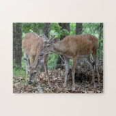 ビロードの若いオジロ鹿シカの木びき台 ジグソーパズル (横)