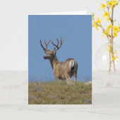 ビロードのD9aのラバシカの木びき台 カード (黄色い花)