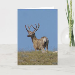 ビロードのD9aのラバシカの木びき台 カード