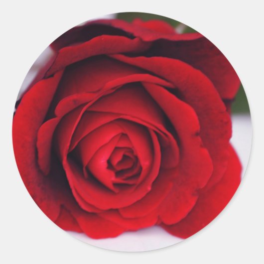 ビロード火災 ラウンドシール (正面)