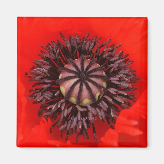 ビロード芯 マグネット (正面)