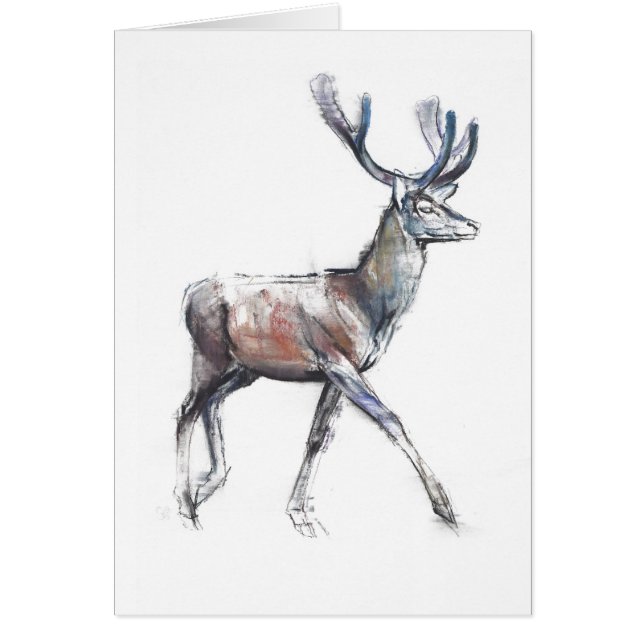 ビロード2006年 (正面)