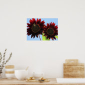 ビロード・クイーン・ヒマワリ ポスター (キッチン)