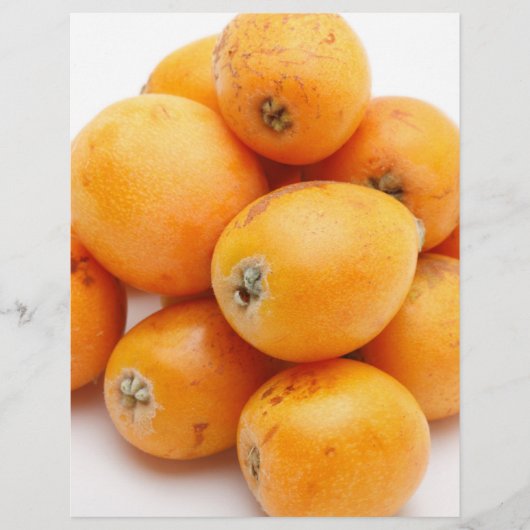 ビワ チラシ (正面)