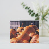 ビンのカボチャ ポストカード (スタンド正面)