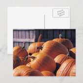 ビンのカボチャ ポストカード (正面/裏面)