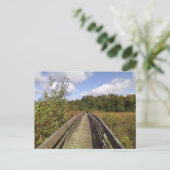 ビンガムトン大学自然保存室 ポストカード (スタンド正面)