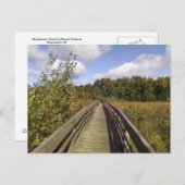 ビンガムトン大学自然保存室 ポストカード (正面/裏面)