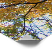 ビンガムトン2008年10月17日 ポスター (角)