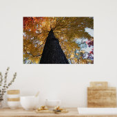 ビンガムトン2008年10月17日 ポスター (キッチン)